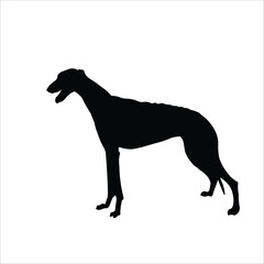 Silhouette of greyhound dog on white