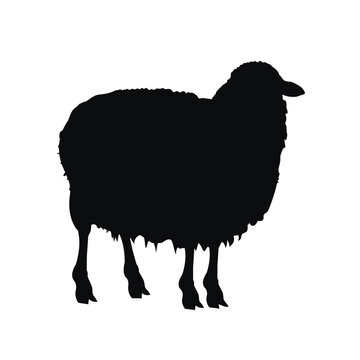 recommend clip art: Black silhouette of a sheep on a white background