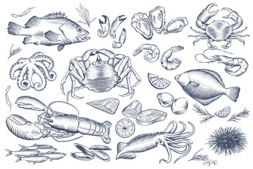 Hand drawn seafood and fish in line art style. Vector illustration
