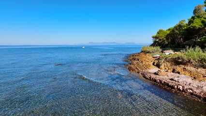 Fototapeta premium The calm and transparent sea in the uncontaminated nature of the Cilento coast, Southern Italy. The maritime pine, typical of the Mediterranean sea, descends on the rocky coast of Cilento.