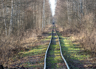 landscape with railway tracks, train tracks in a swamp, Sedas swamp, Latvia
