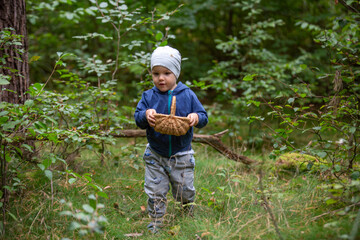 Kleinkind hilft beim Pilzesammeln im Wald