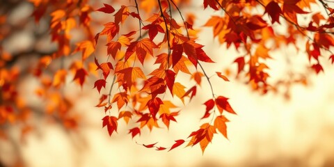 Autumnal foliage displaying vibrant red and orange leaves on a branch against a soft-focus background