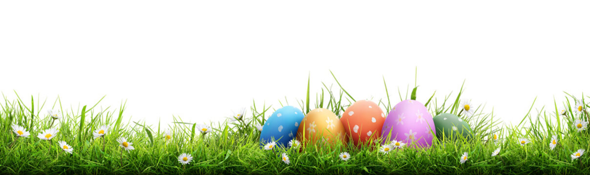 A template of a collection of painted easter eggs celebrating a Happy Easter with green meadow grass against a transparent background