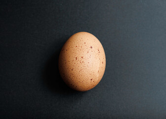 chicken egg close up on black background