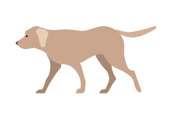 Dog on transparent background. Flat style.