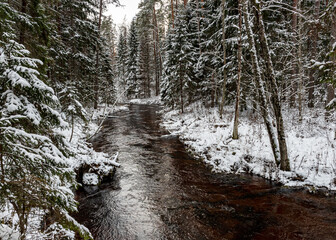 winter landscape with a small, wild wild river, long exposure, blurred water, snow-covered trees on the riverbank