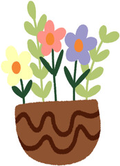 colorful flower ornamental plants in vases