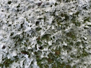 white snow patches on a green meadow