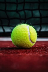 National Tennis Pro Day Bright yellow tennis ball on red court surface in front of net