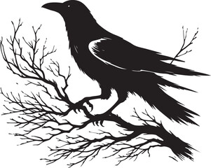 crow on a white background