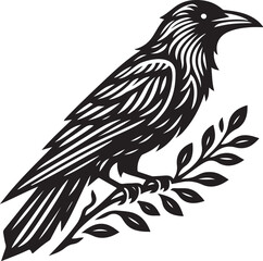 crow on a white background