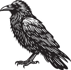 crow on a white background