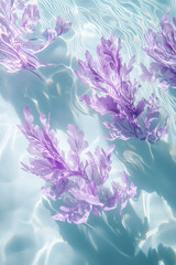 elegant purple algae floating on the water of a pool