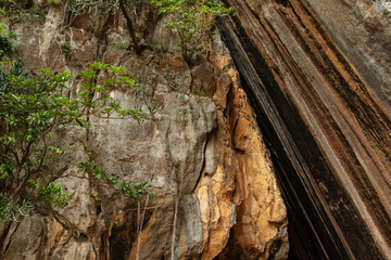  Close-Up of Weathered Limestone Cliff with Lush Foliage