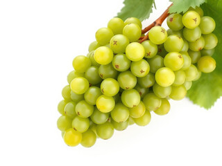 Fototapeta premium green bunch of grapes with clusters on a white background, cluster of grapes, close-up of grapes, everyday fruit scene, fresh grapes