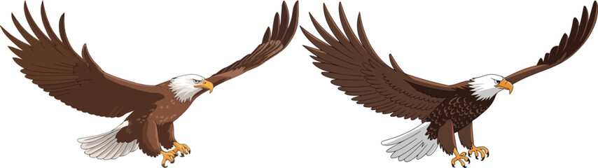 Obraz premium two different eagle vector designs.