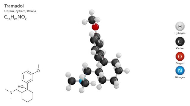 Tramadol. Analgesic. Animated 3D model of a molecule. Molecular formula: C16H25NO2. Chemical model: Ball and sticks. White background. 3D rendering. Seamless loop.