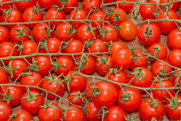 Pattern fresh organic raw tomatoes fruit on vine