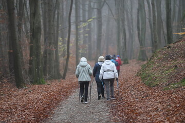 Gdansk, Poland - 11.09.2024: a group of people with poles practice Nordic walking in a misty autumn...