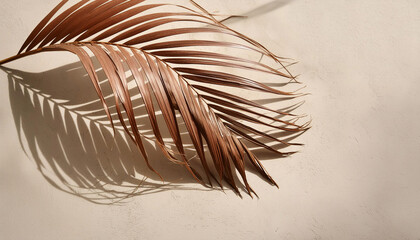 A single, dried palm frond casts a long shadow on a light beige surface.	