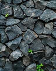 Fototapeta premium A textured wall of dark stones with small green plants peeking through, showcasing a blend of natural elements and structured design.