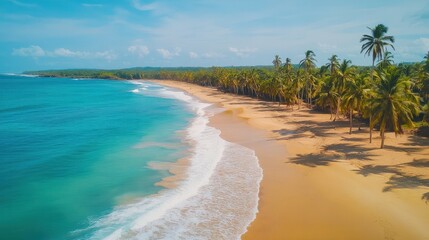 Fototapeta premium A vibrant tropical beach with crystal-clear turquoise water, coconut palm trees swaying in the breeze, and golden sand under a radiant blue sky, perfect for a holiday escape