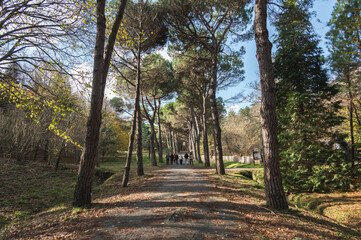 Colorful Ataturk Arboretum park, trekking hike trail, near Sariyer, Istanbul, Turkey.