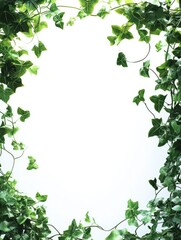 Fototapeta premium Leaf Frame Decor