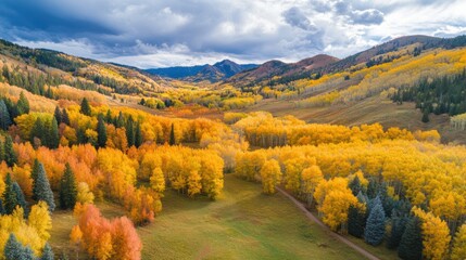 A breathtaking aerial view of a mountain range, with a valley filled with trees in the foreground.