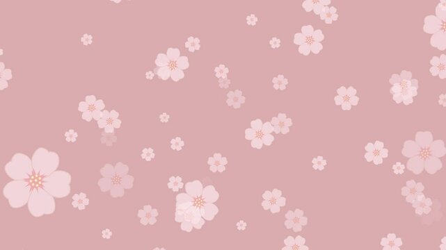 벚꽃 배경