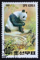 DPRK - CIRCA 1991:Postage stamp. A stamp printed in DPRK shows panda, series, circa 1991