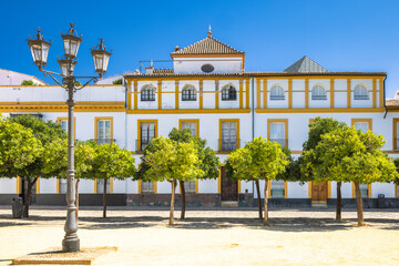 Obraz premium Seville town, capital of Andalusia in Spain. Charming Spanish plaza with a grand white building, lush green trees, and a classic lamppost.