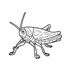 Single grasshopper black line art vector on white background.