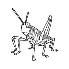 Single grasshopper black line art vector on white background.