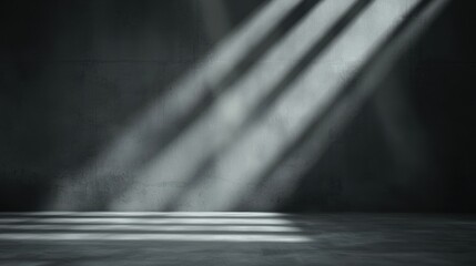 Black and white photograph of an empty room with a concrete floor. the room appears to be empty, with no furniture or decorations in sight.