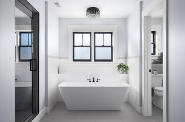 A bathroom detail with a black light fixture above a freestanding soaking tub, shower with a glass...