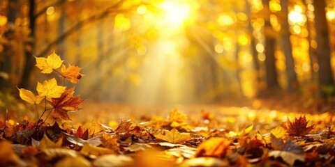 Warm golden light falls on a forest floor covered with vibrant yellow leaves, creating a mesmerizing abstract nature autumn background , autumn, yellow leaves
