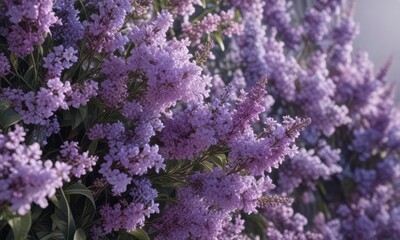 Obraz premium Intricate lilac and lavender floral design on a large scale , interior design idea , floral pattern