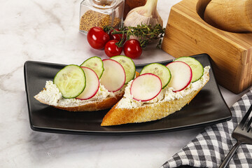 Bruschetta with soft cheese and radishes