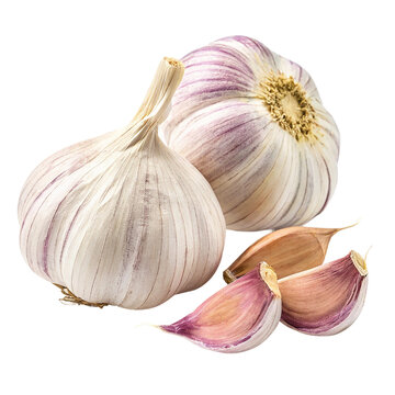 Fresh garlic bulbs and cloves isolated on transparent background