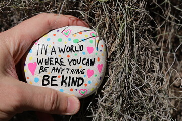 Be kind kindness rock held by beard lichen