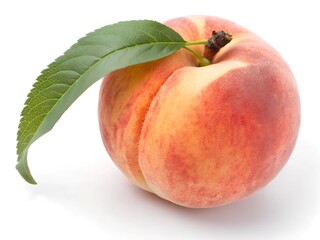  red peach, juicy peach slices isolated on white background. File contains clipping paths.