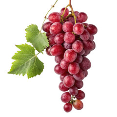 Fototapeta premium Realistic design of red grape bunch with fresh leaves, suitable for fruit branding, advertisements, and culinary product visuals Vector File
