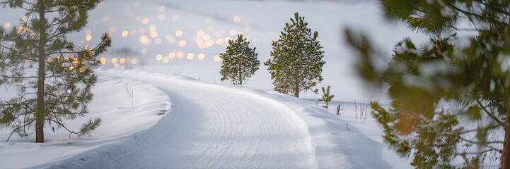 Obraz premium Winter Wonderland Snow Covered Path Pine Trees Scenic Background