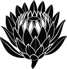 King Protea Flower Silhouette Vector Design. 