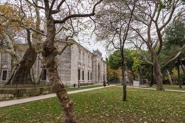 The Sehzade Mosque garden view in Istanbul, Turkey. Trees with yellow leaves in autumn