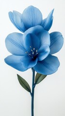 Beautiful blue flower with delicate petals and slender green stem against a light background