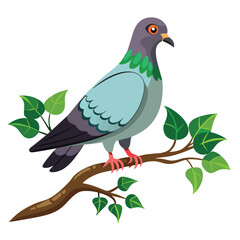 Photo of a  pigeon    with two legs flying isolated on a white background.