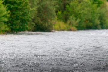 Wild water in the background of green nature